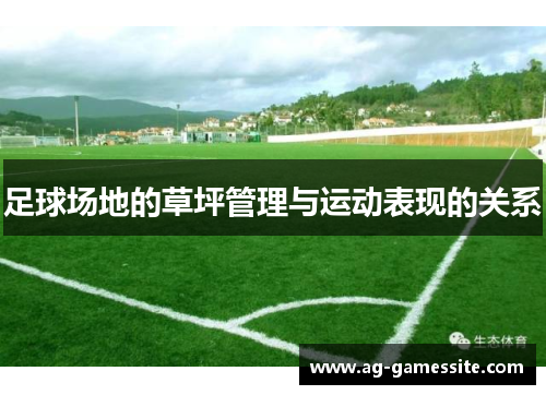 足球场地的草坪管理与运动表现的关系